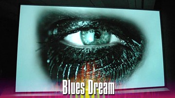 Blues Dream