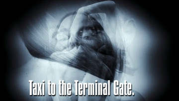 Taxi to the Terminal Gate.